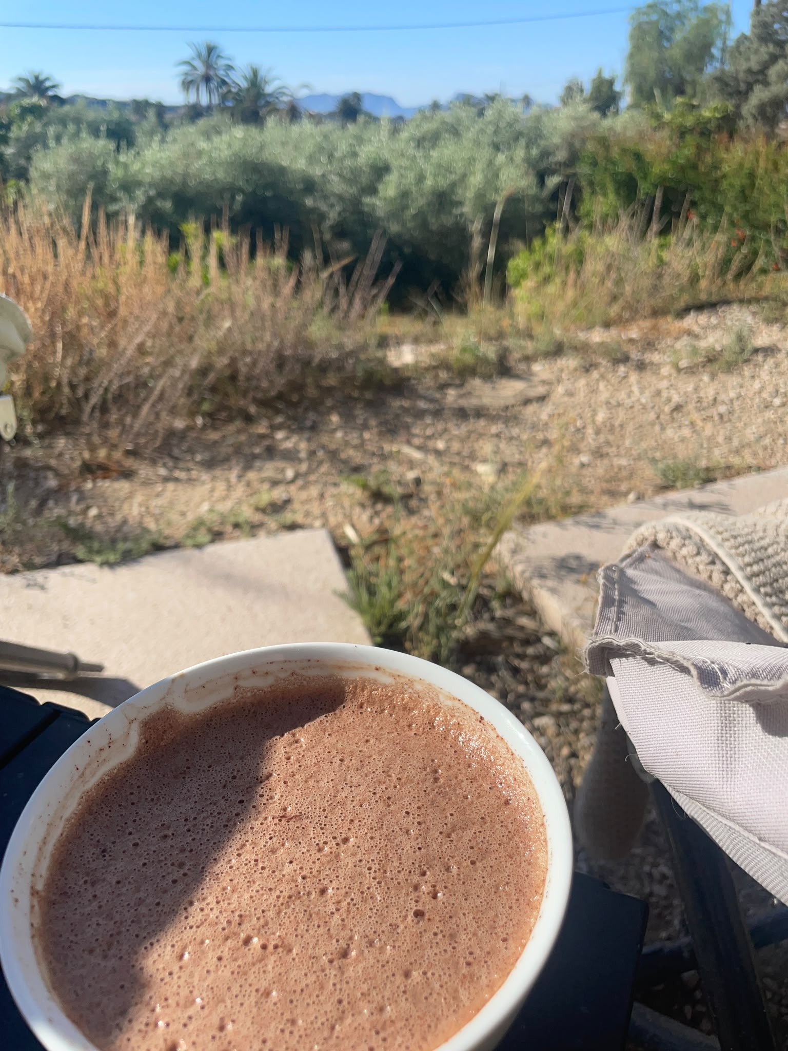 Bol de cacao face à la nature espagnole